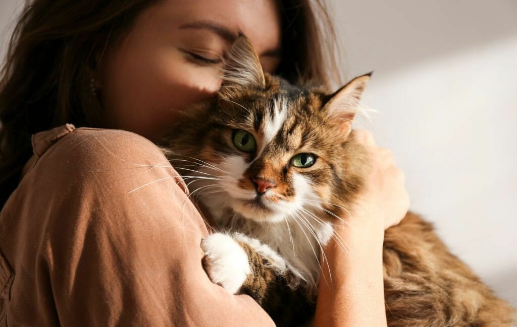 mujer acariciando y abrazando a un gato