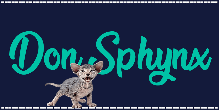 Portada de gato Don Sphynx, con el nombre de la raza de fondo