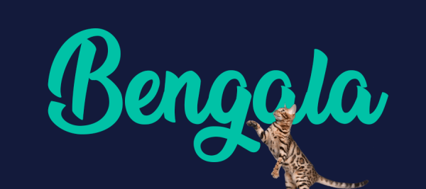 Portada de gato Bengala, con el nombre de la raza de fondo