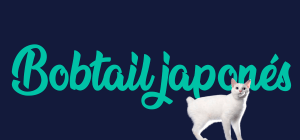 Portada de gato Bobtail japonés, con el nombre de la raza de fondo
