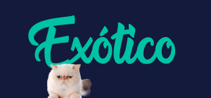 Portada de gato Exótico, con el nombre de la raza de fondo