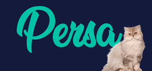 Portada de gato Persa, con el nombre de la raza de fondo