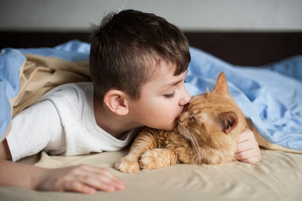El niño abraza a un gato rojo en una cama bajo una manta