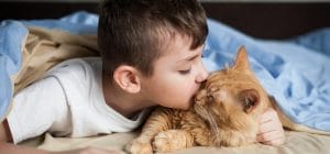 El niño abraza a un gato rojo en una cama bajo una manta