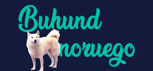Portada de perro Buhund Noruego, con el nombre de la raza de fondo