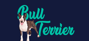 Portada de perro Bull Terrier, con el nombre de la raza de fondo