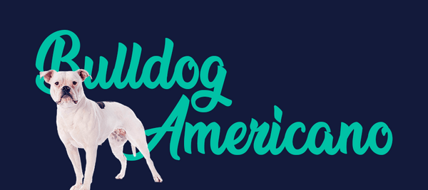 Portada de perro Bulldog Americano, con el nombre de la raza de fondo