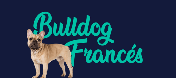 Portada de perro Bulldog Francés, con el nombre de la raza de fondo